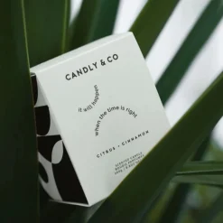 Candly & Co Świeca zapachowa No. 3 Świeże Cytrusy / Cynamon It will ha